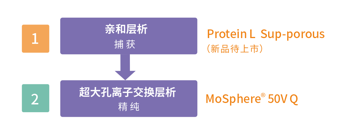 亲和法.png